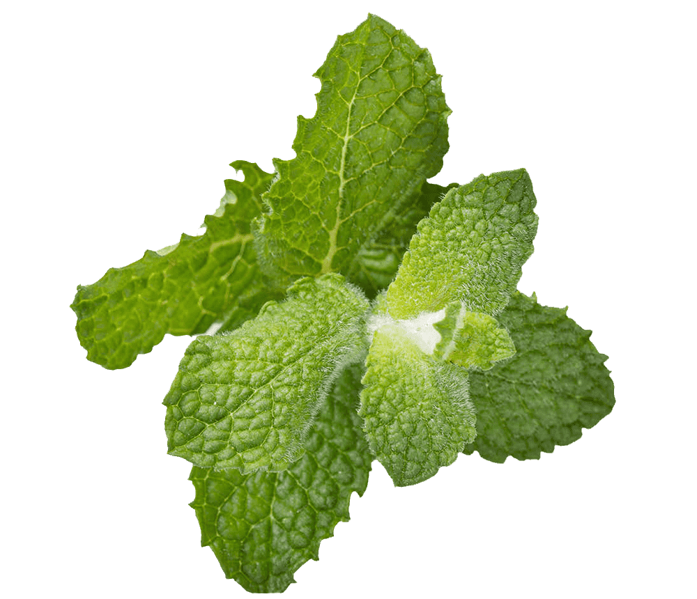 Smooth AF® with Peppermint